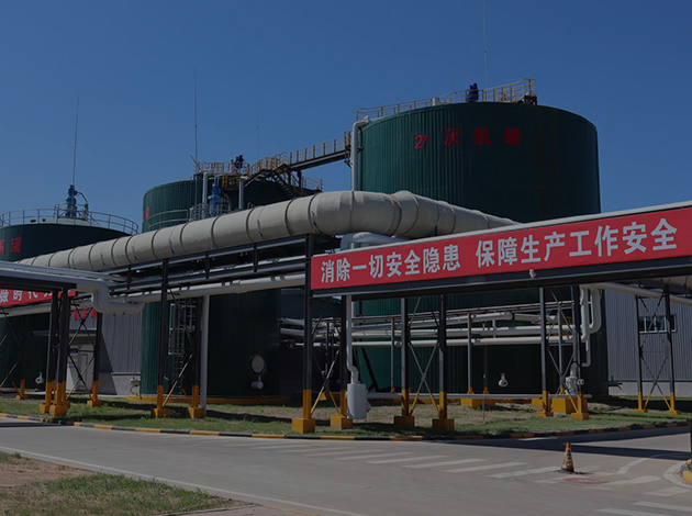 z6com��(�й���)���޹�˾����