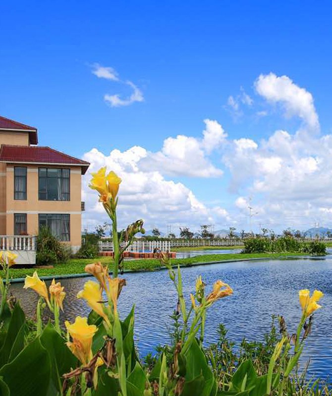 z6com��(�й���)���޹�˾����