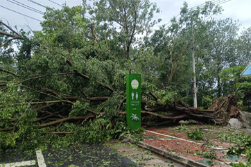 z6com��(�й���)���޹�˾����